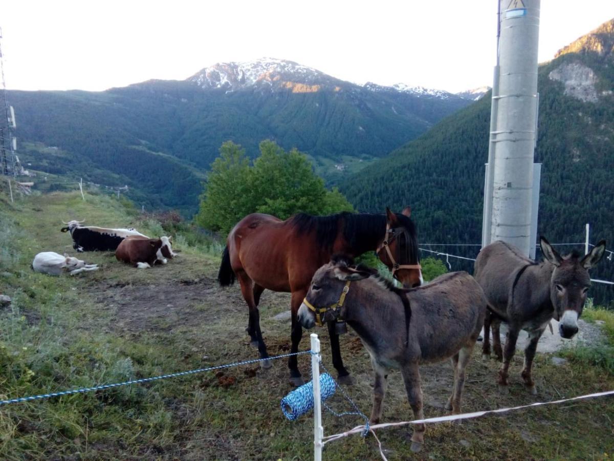 Agri-B&B Lou Col Canosio Exteriör bild