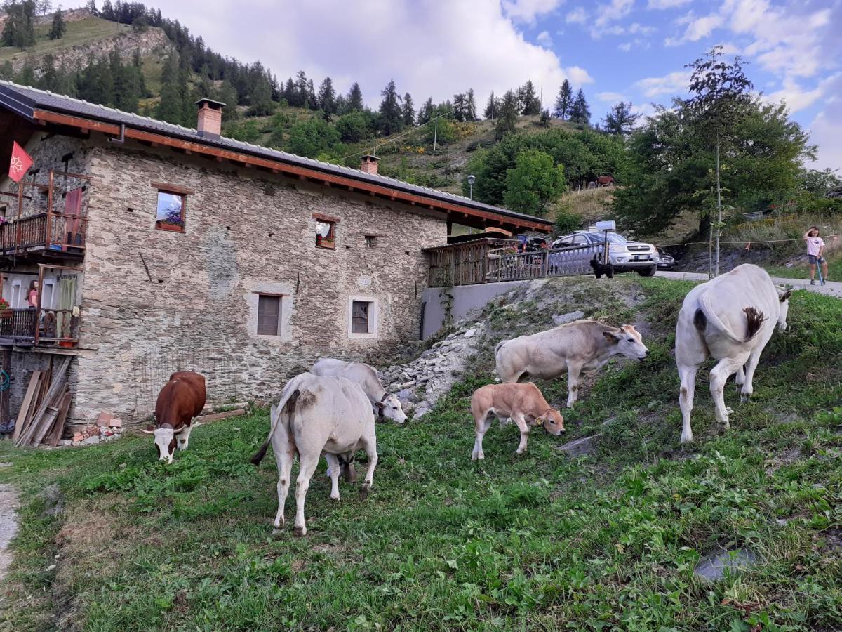 Agri-B&B Lou Col Canosio Exteriör bild